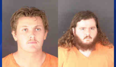 FWC investigation reveals accusations of illegal alligator killings across multiple Florida counties