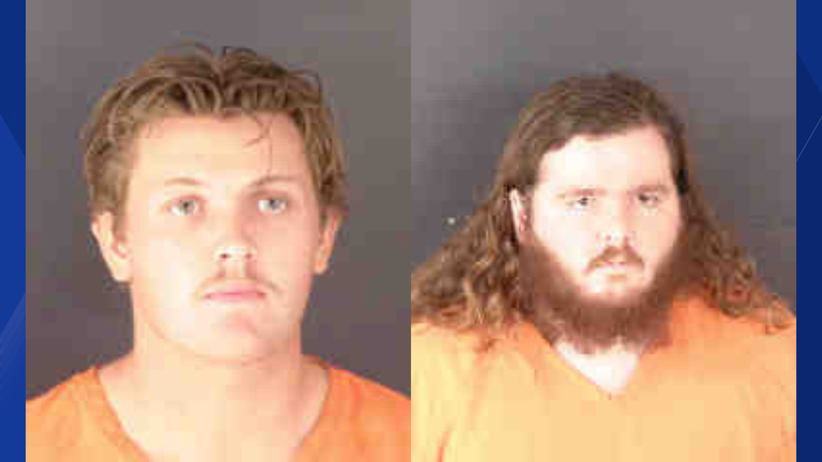 FWC investigation reveals accusations of illegal alligator killings across multiple Florida counties