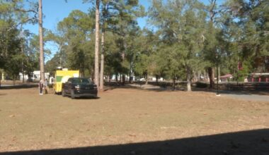 Market Day Holiday Stroll takes over Hudson Park Saturday