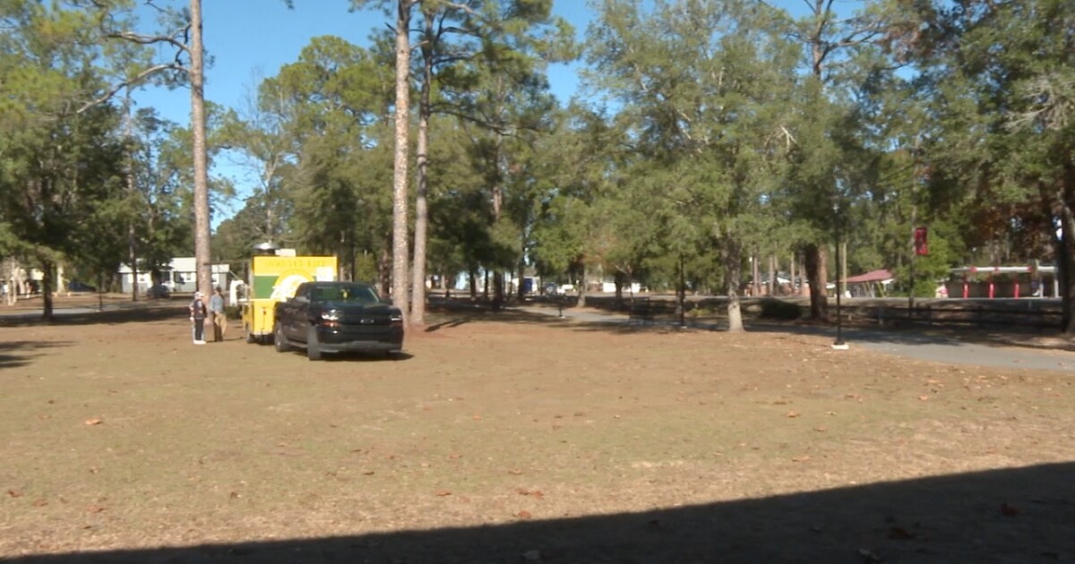 Market Day Holiday Stroll takes over Hudson Park Saturday