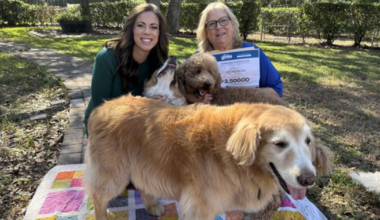 Tampa Bay 28 Gives donation benefits Kids and Canines reading program