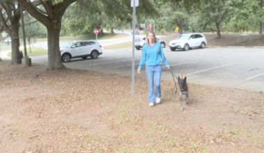 Community rallies behind North Florida Search Team