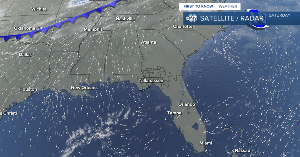 Sunshine filled weekend