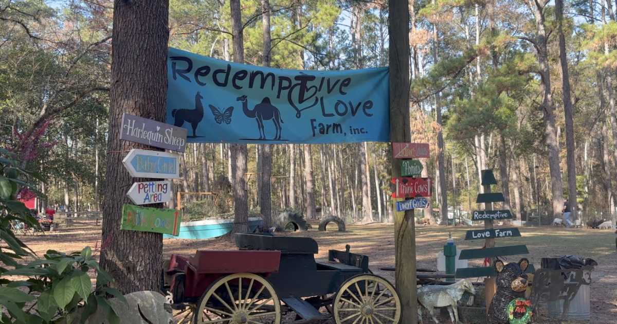 Christmas at the Farm wraps up their 10th year at Redemptive Love Farm