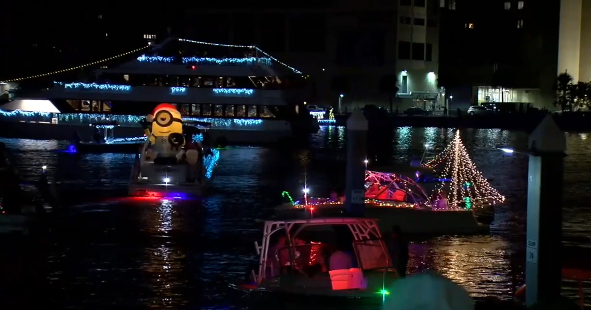 Things to do in Tampa Bay this weekend