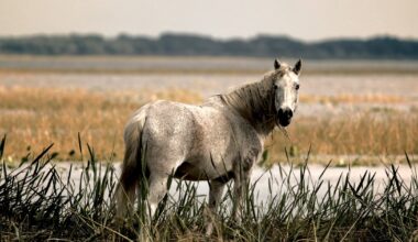 One clue, it's not Disney World