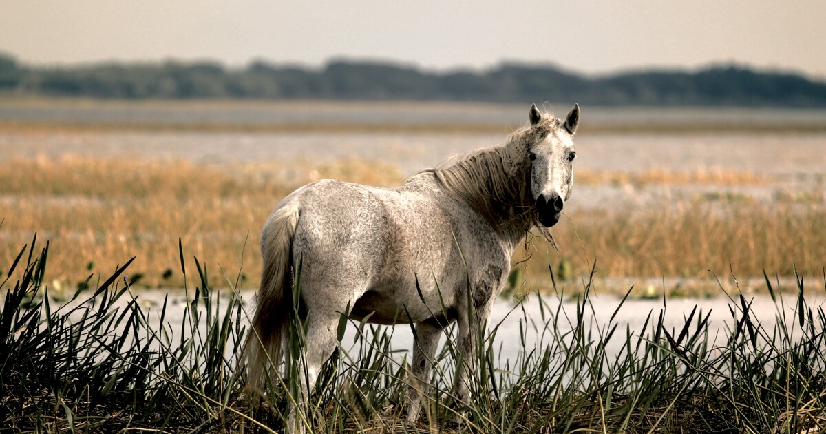 One clue, it's not Disney World