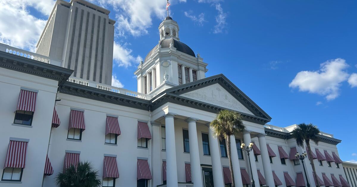 Here are five Florida laws going into effect on New Year's Day