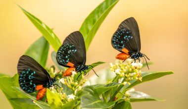 Deadline little more than a month away for Six Mile Cypress Slough Preserve photography contest