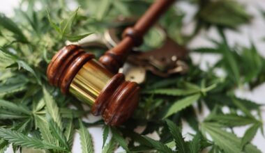 Tallahassee police have seized more than 50 pounds of marijuana