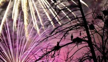 Fireworks usually nixed by burn bans; here's counties with bans