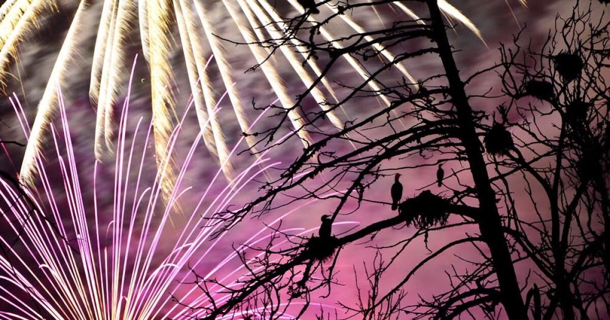 Fireworks usually nixed by burn bans; here's counties with bans