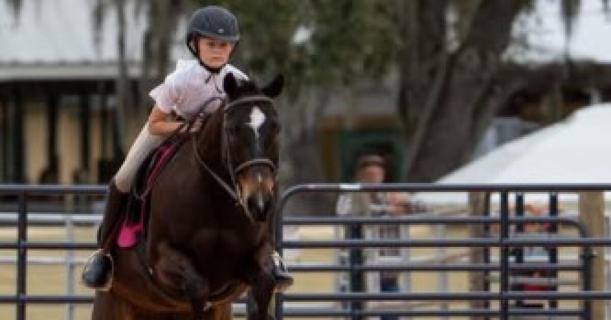 Lee County seeks photos for 2026 Southwest Florida Ag Expo exhibit