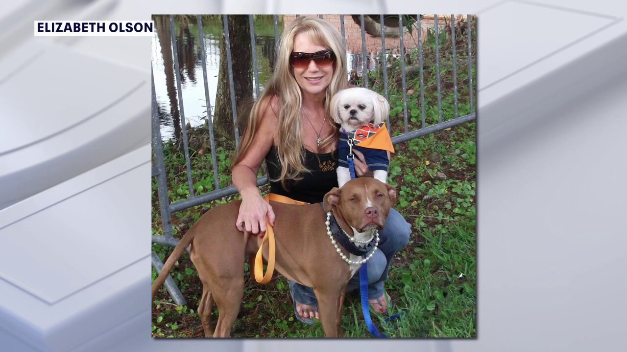 Pinellas County considers stricter oversight of retail pet stores after hundreds of violations