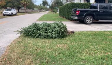 Holiday cleanup: what to recycle and what to throw away