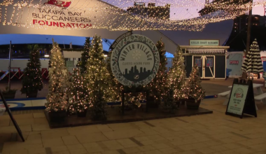 Downtown Tampa's Winter Village marks 10th year with ice shows, skating and local shops