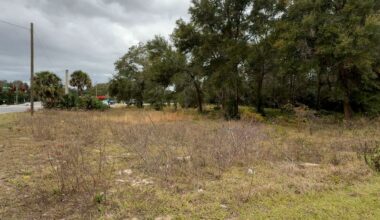 Land for future park development in Apopka