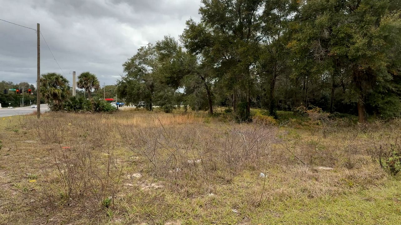 Land for future park development in Apopka