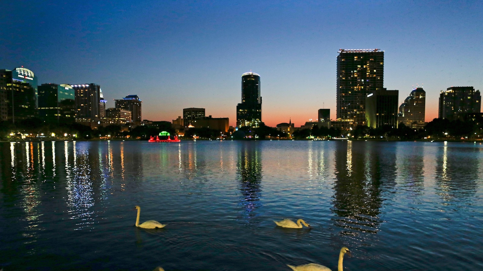 Officials suspect bird flu after 12 swans die at Orlando's Lake Eola