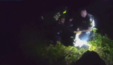 Police K9s track down suspect accused of fleeing Orlando police officers