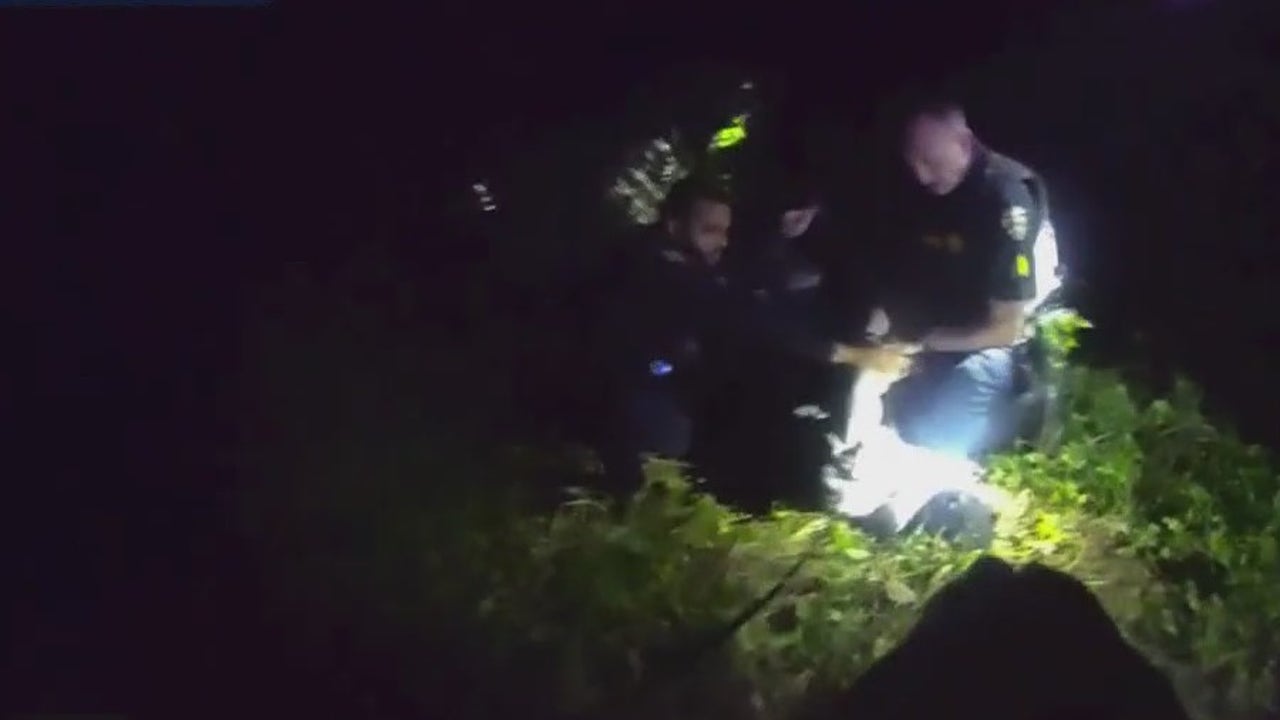 Police K9s track down suspect accused of fleeing Orlando police officers