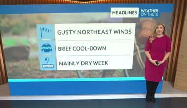 Gusty winds bring cooler temperatures to Central Florida on Monday – Orlando Sentinel