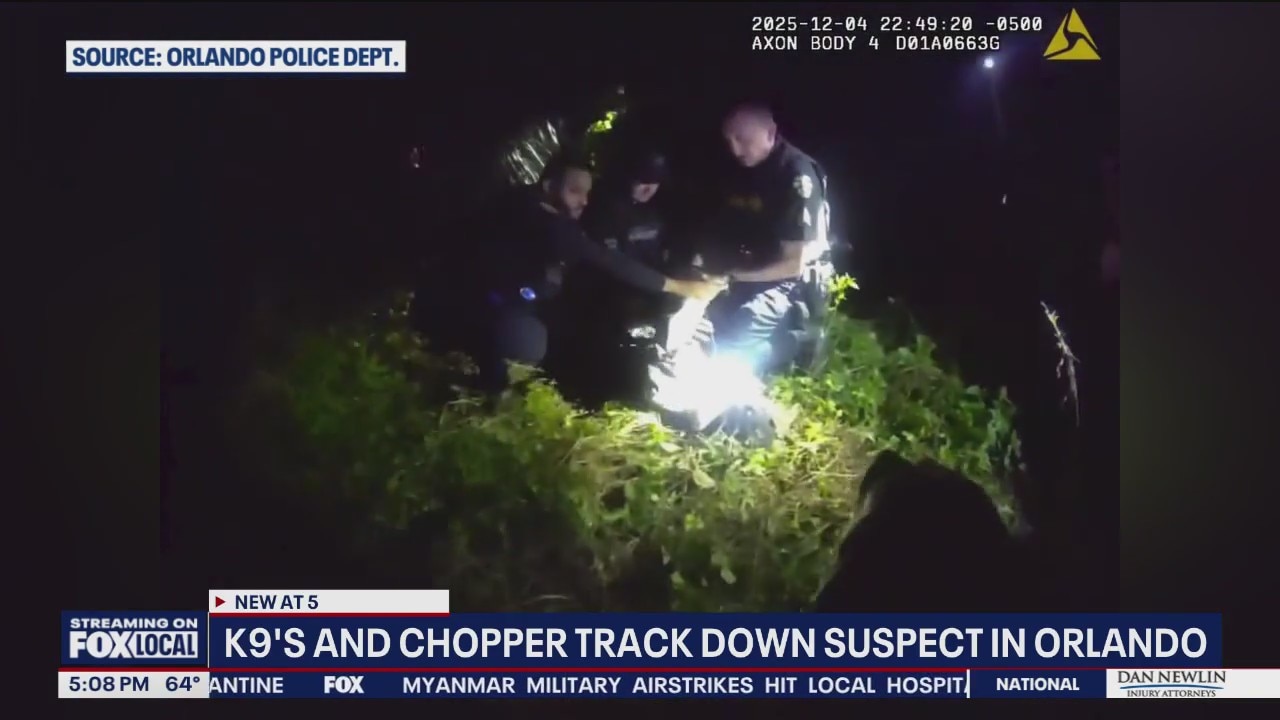 Police K9s track down suspect accused of fleeing Orlando police officers