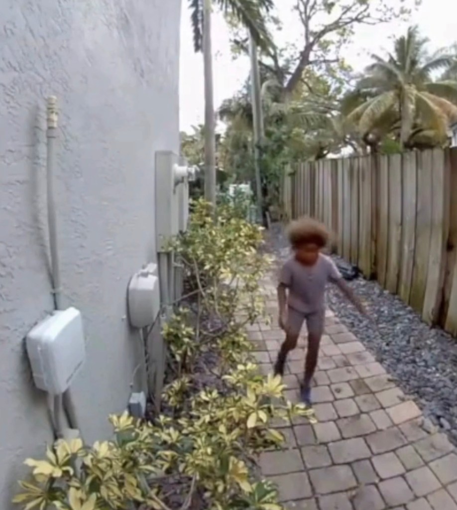 A young child with an afro and dark clothing on a brick path, next to a building and a wooden fence, with green bushes and palm trees.