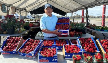 More fresh produce stands opening in Hillsborough County