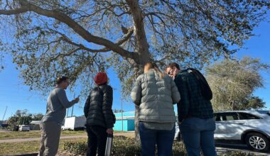 The initial team collected data about tree species, size, condition and location outside the Gulfport Community Center. (Spectrum Bay News 9/Tyler O'Neill)