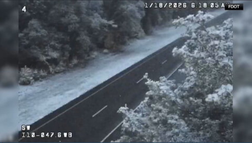 Small part of Sunshine State becomes Snowy State as Florida gets snow for 2nd year in a row - WSVN 7News | Miami News, Weather, Sports