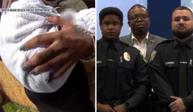 North Miami Beach officers honored after saving boy with autism who was severely abused – NBC 6 South Florida