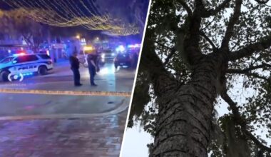 Fort Lauderdale gets tough on open containers; Las Olas to get facelift without black olive trees – NBC 6 South Florida