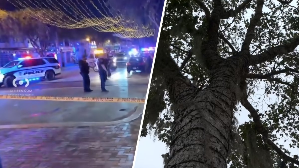 Fort Lauderdale gets tough on open containers; Las Olas to get facelift without black olive trees – NBC 6 South Florida