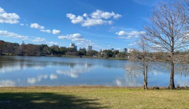 Several dead wild birds have been found near Lake Davis in Orlando, residents say. (Spectrum News)