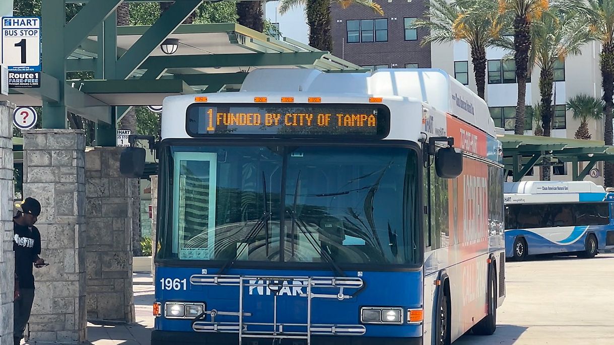 (Spectrum Bay News 9/Fadia Patterson)