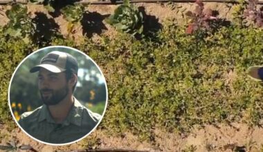‘Edible landscaping’ helps a Florida farmer cut costs and live with purpose as grocery prices rise