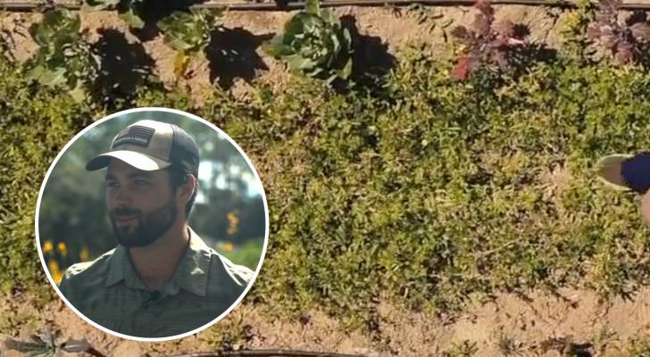 ‘Edible landscaping’ helps a Florida farmer cut costs and live with purpose as grocery prices rise