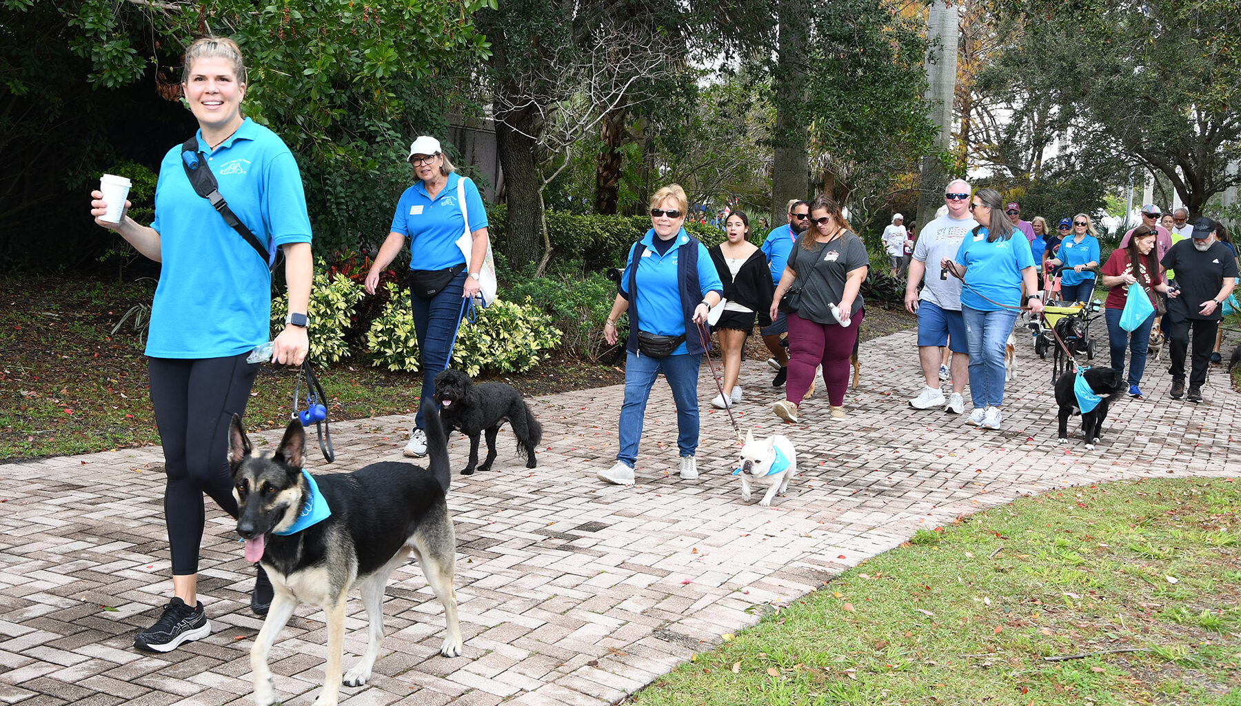 Paws in the park - Florida Weekly