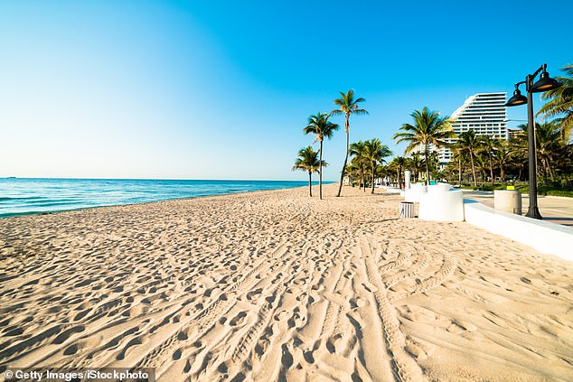 Witnesses who were at the beachside hotel corroborated the nine-year-old boy's account of what happened to police. The Fort Lauderdale Beach is pictured here (stock image)