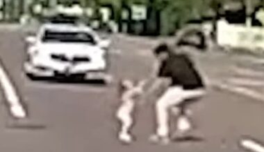 Heartstopping moment two toddler girls wander onto busy Florida freeway