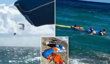 Florida paraglider walks away unharmed after terrifying 500-foot plunge into ocean