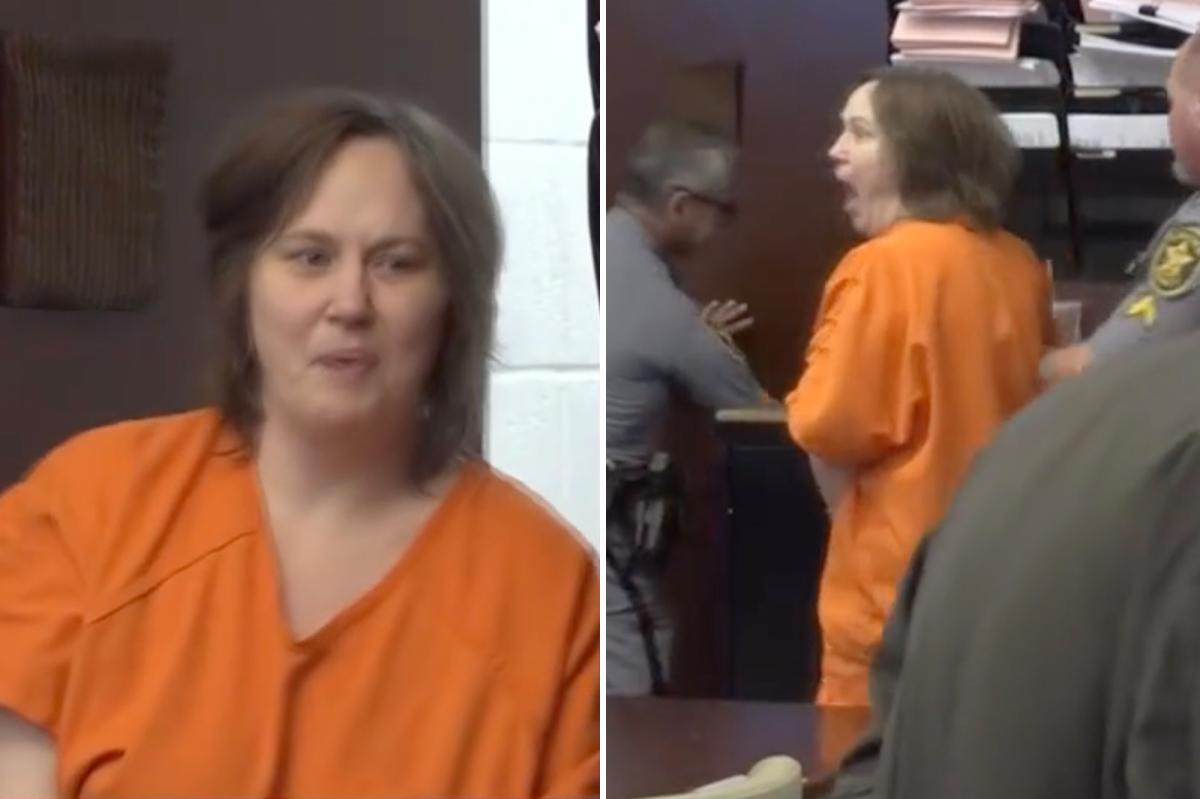 Florida woman Amanda Cook thrown out of courtroom over outburst as she’s sentenced to life in prison for murdering roommate