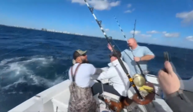 Fishermen catch ‘once in a lifetime’ great white shark on fishing trip off the coast of Fort Lauderdale - WSVN 7News | Miami News, Weather, Sports