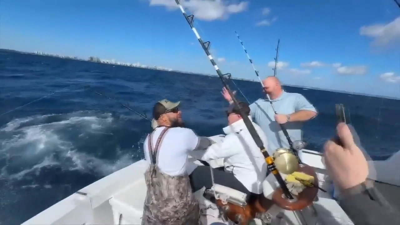 Fishermen catch ‘once in a lifetime’ great white shark on fishing trip off the coast of Fort Lauderdale - WSVN 7News | Miami News, Weather, Sports