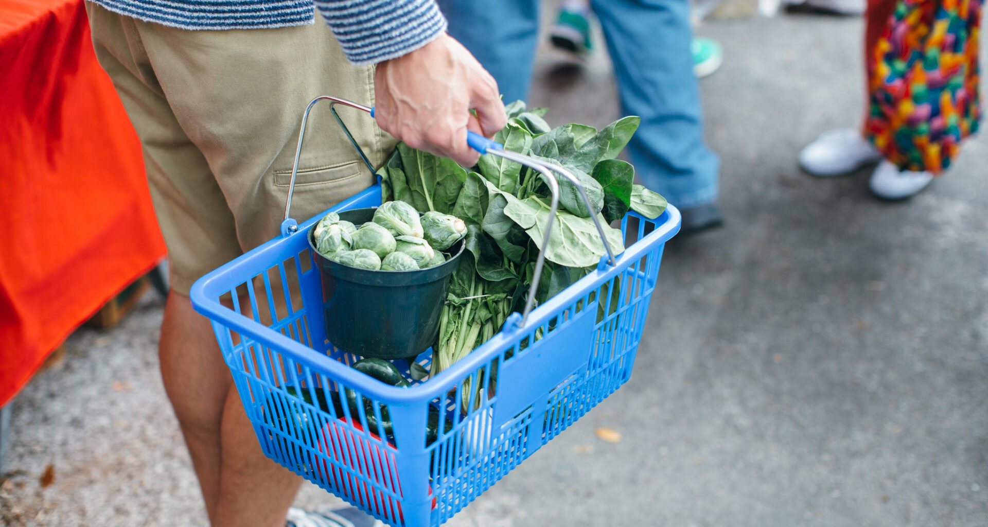 City of St. Petersburg Accepting Applications for Community Food Grant Program until February 12