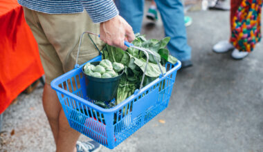 City of St. Petersburg Accepting Applications for Community Food Grant Program until February 12