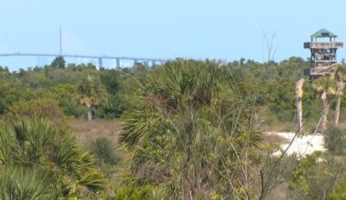 Robinson Preserve is Florida farmland returned to the wild