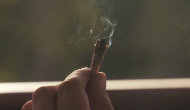 Recreational marijuana could return to Florida ballot in 2026