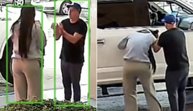 Police in Florida ask for public’s help after video shows possible abduction of woman in broad daylight